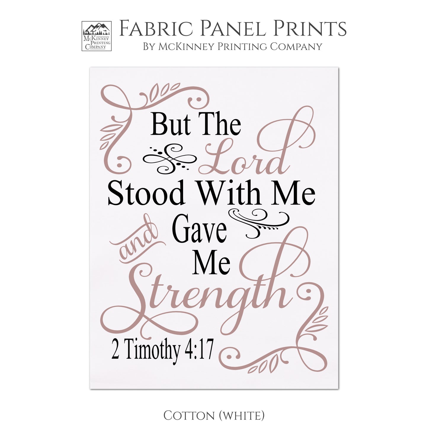 2 Timothy 4:17, But the Lord Stood With Me and Gave Me Strength
