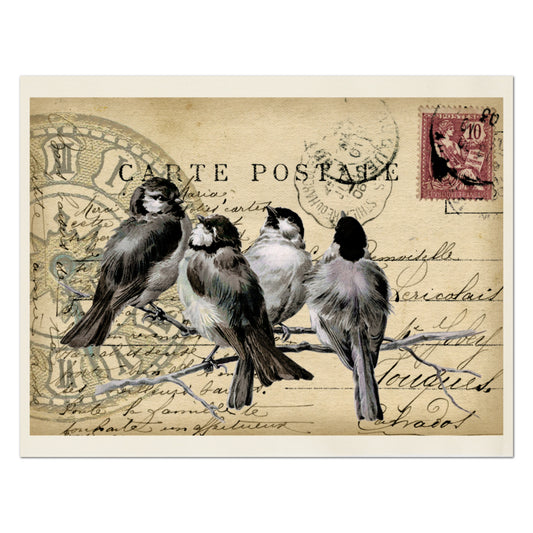 Bird Print Fabric, Shabby Chic Fabric, Vintage, Post Card, French