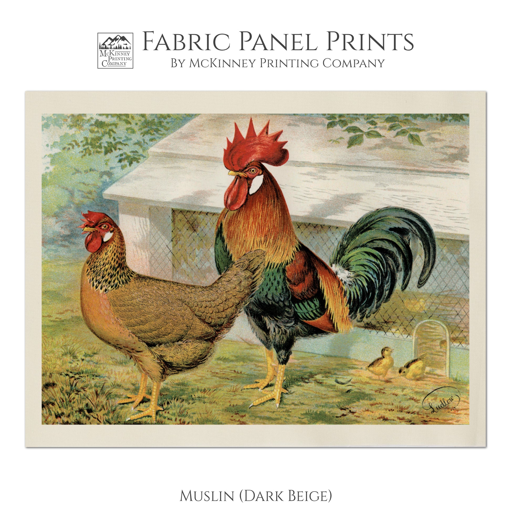 Rooster Fabric, Chicken, Farm, Farmhouse, Home Decor, Quilt, Quilting, Sewing and Crafts - Muslin