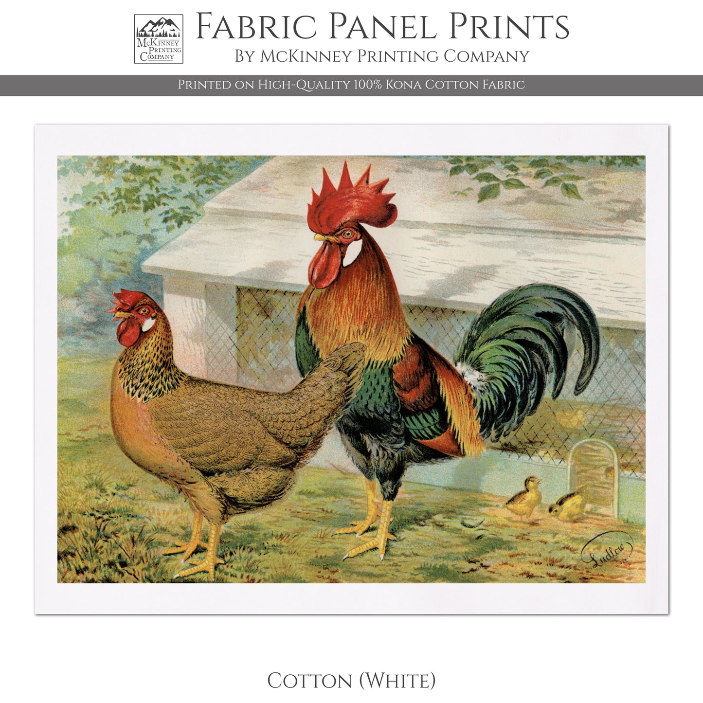 Rooster Fabric, Chicken, Farm, Farmhouse, Home Decor, Quilt, Quilting, Sewing and Crafts - Cotton, White