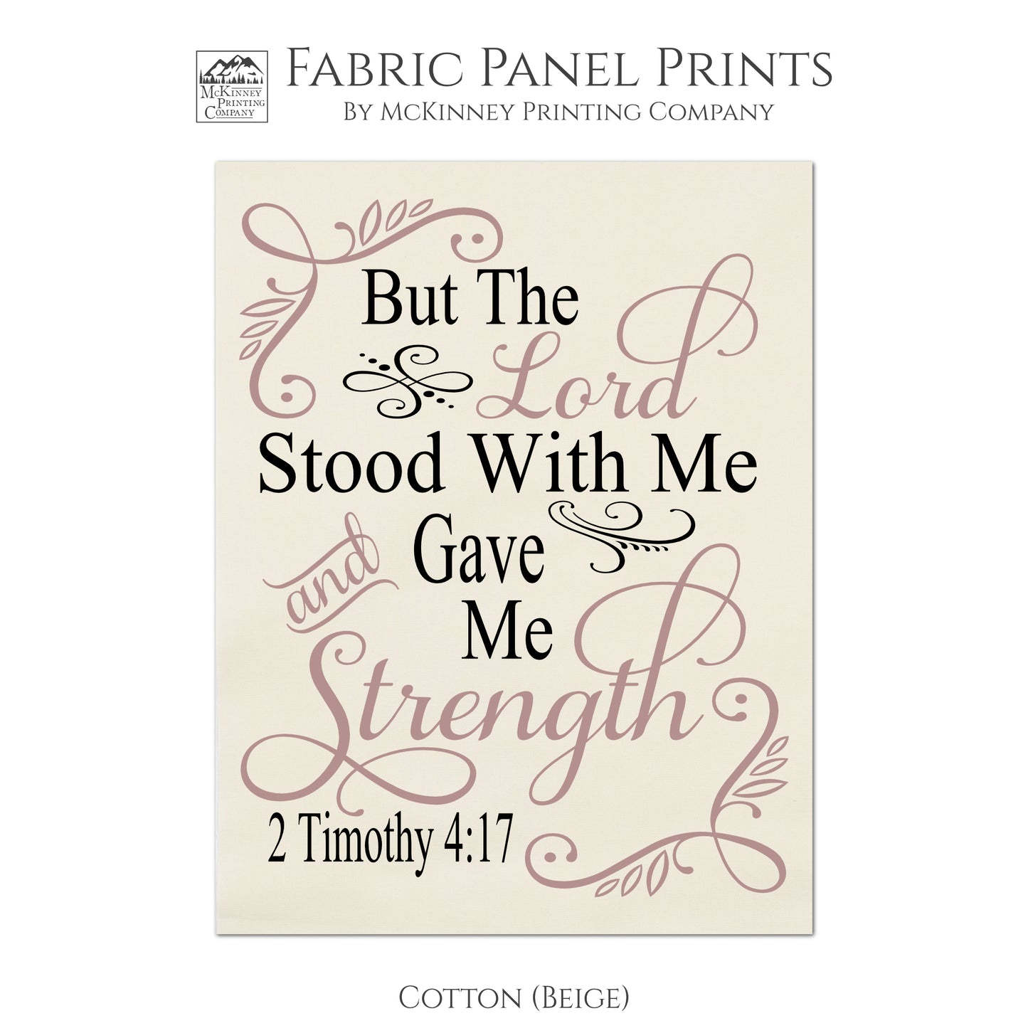 2 Timothy 4:17, But the Lord Stood With Me and Gave Me Strength