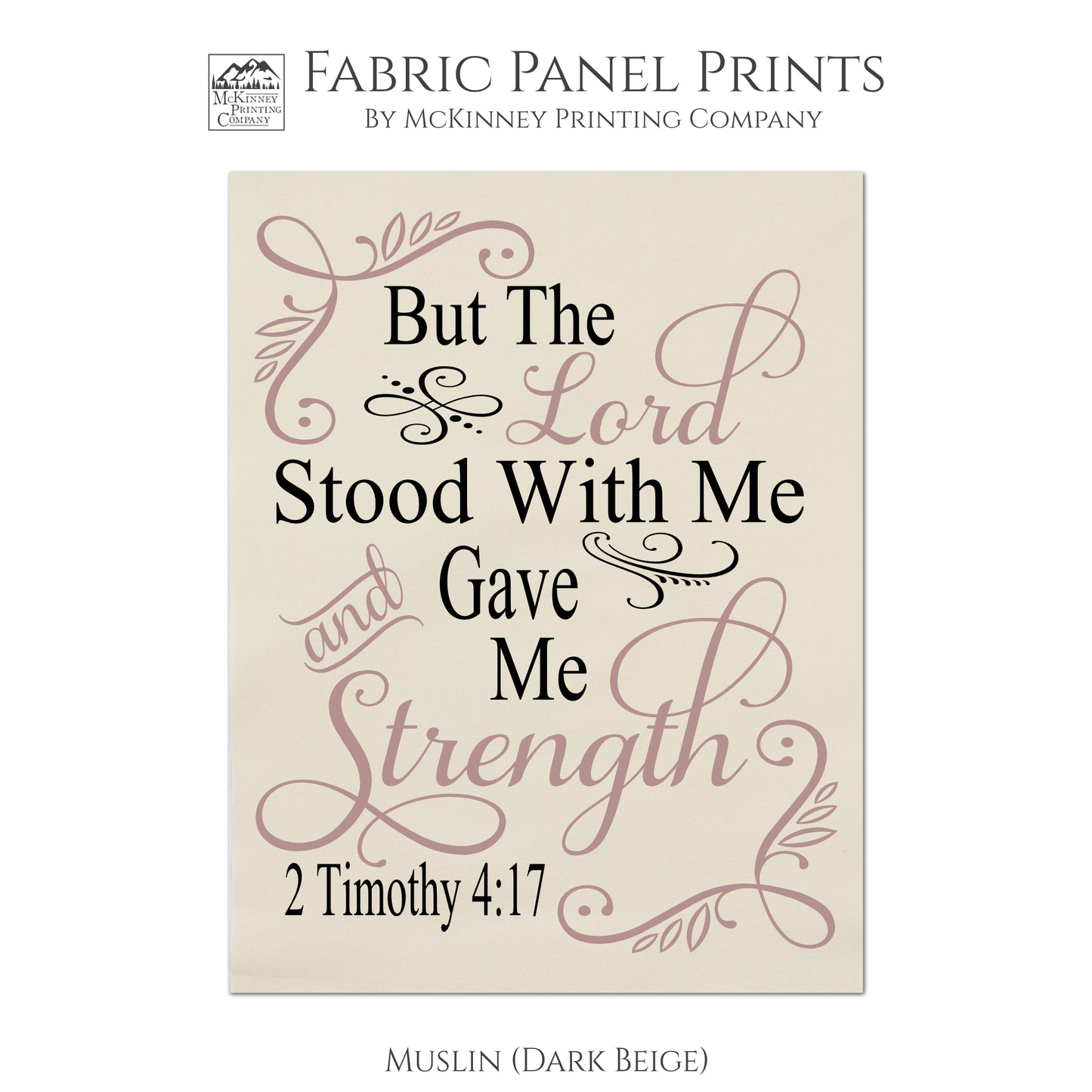 2 Timothy 4:17, But the Lord Stood With Me and Gave Me Strength