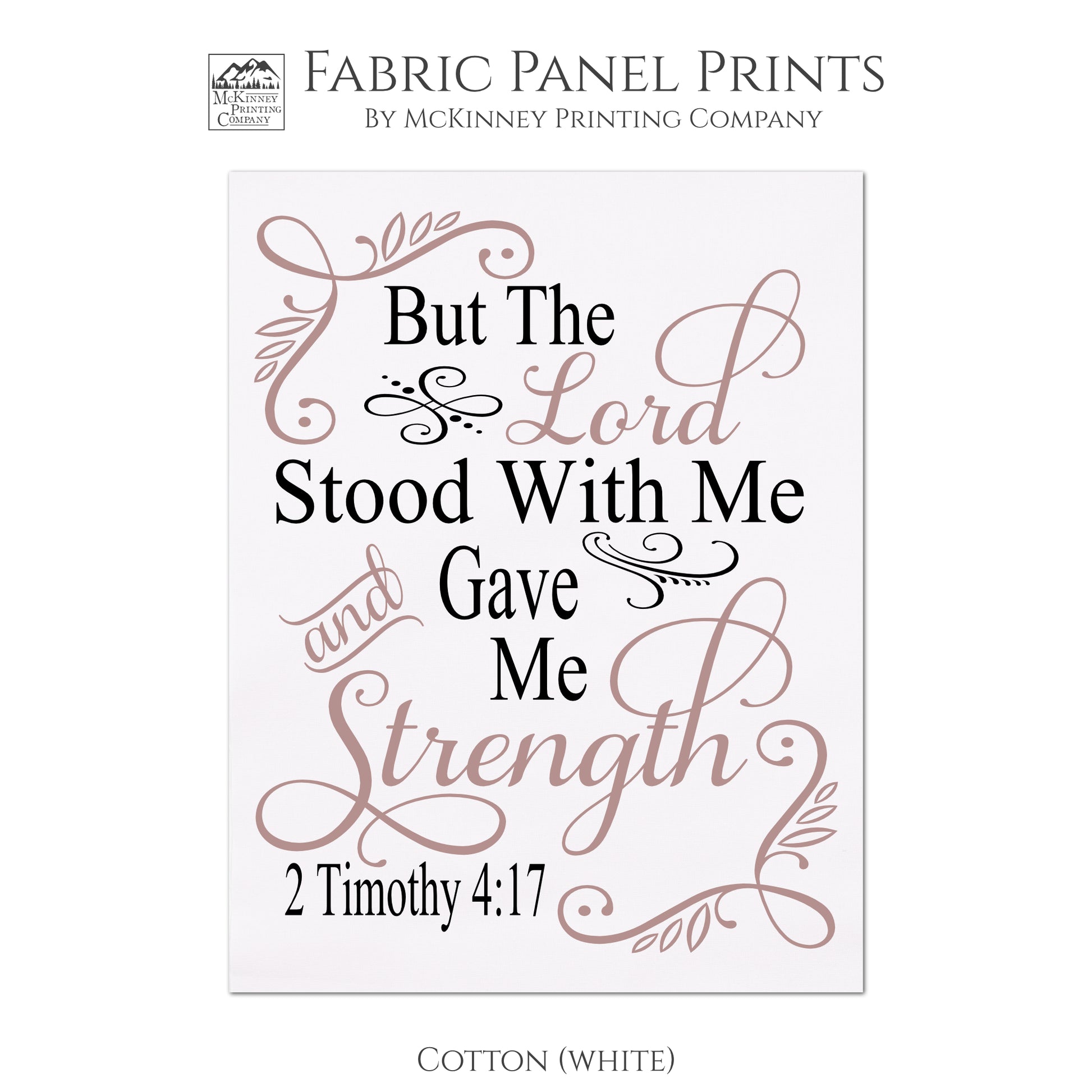 2 Timothy 4:17, But the Lord Stood With Me and Gave Me Strength