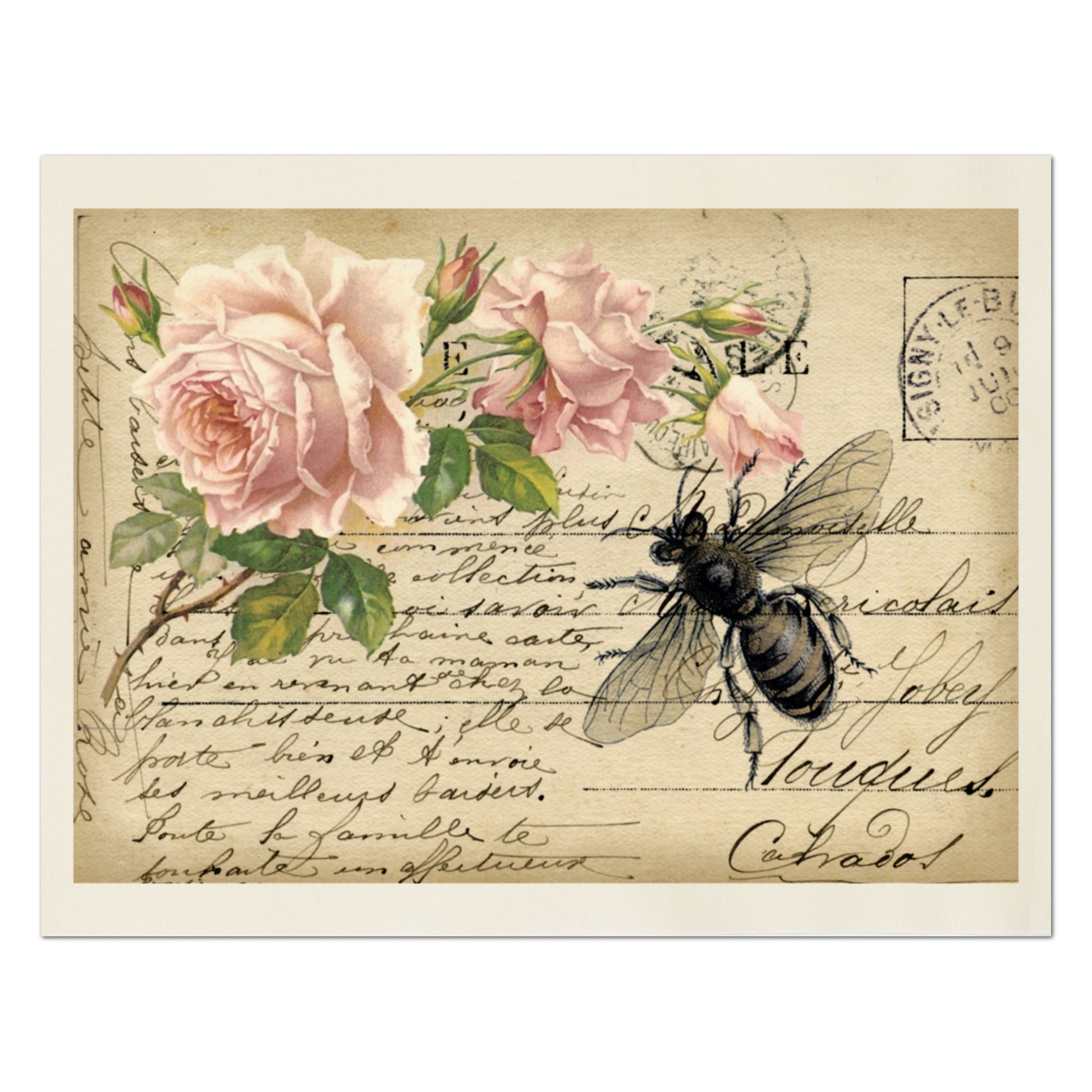 Cabbage Rose Fabric, Vintage, Post Card, Shabby Chic, French Floral